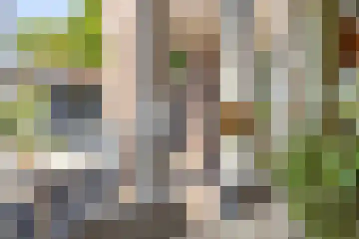 Lomanskamp 18 Beuningen thumbnail 17