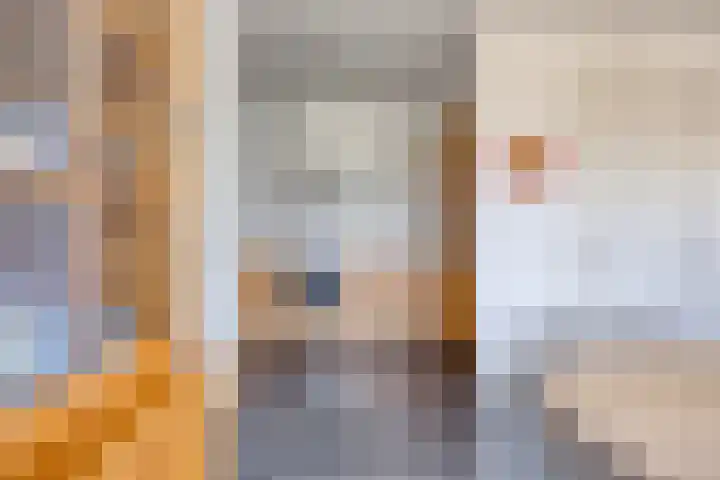 Lomanskamp 18 Beuningen thumbnail 18