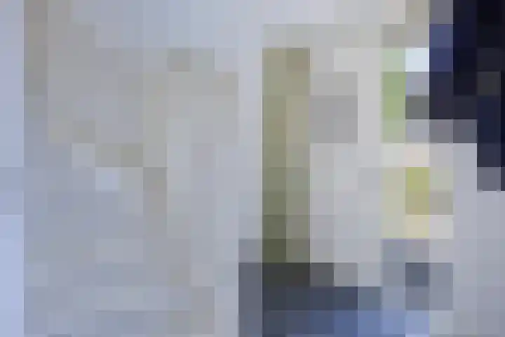 Lomanskamp 18 Beuningen thumbnail 24