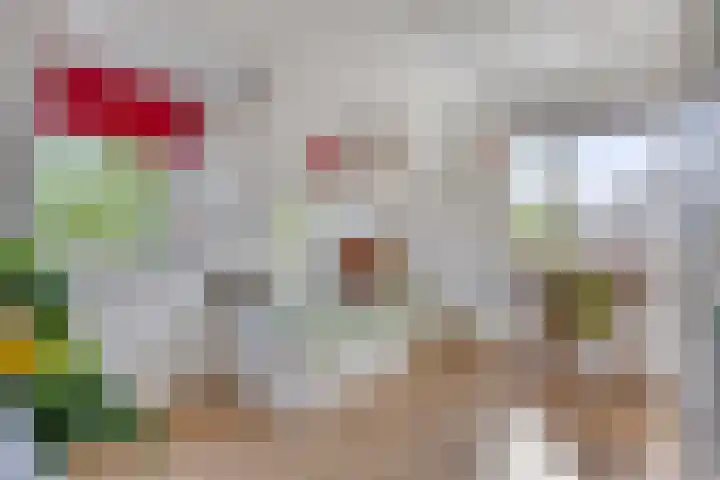 Lomanskamp 18 Beuningen thumbnail 32