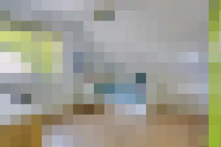 Lomanskamp 18 Beuningen thumbnail 33
