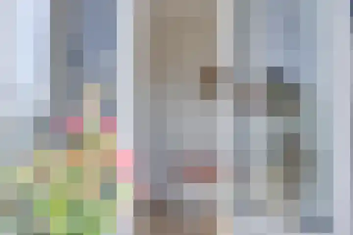 Lomanskamp 18 Beuningen thumbnail 35