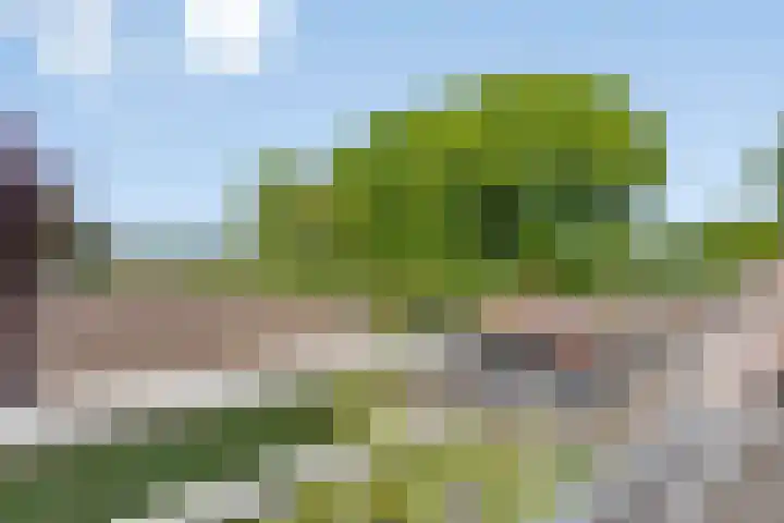 Lomanskamp 18 Beuningen thumbnail 37