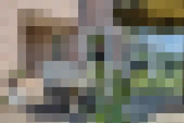 Lomanskamp 18 Beuningen thumbnail 40