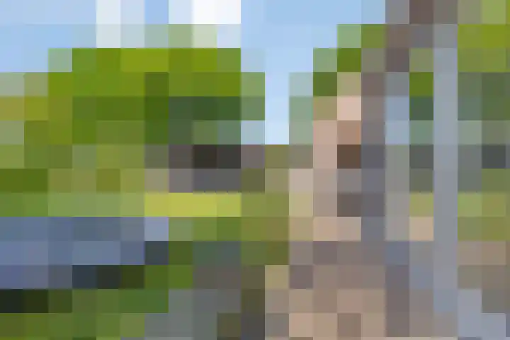Lomanskamp 18 Beuningen thumbnail 42
