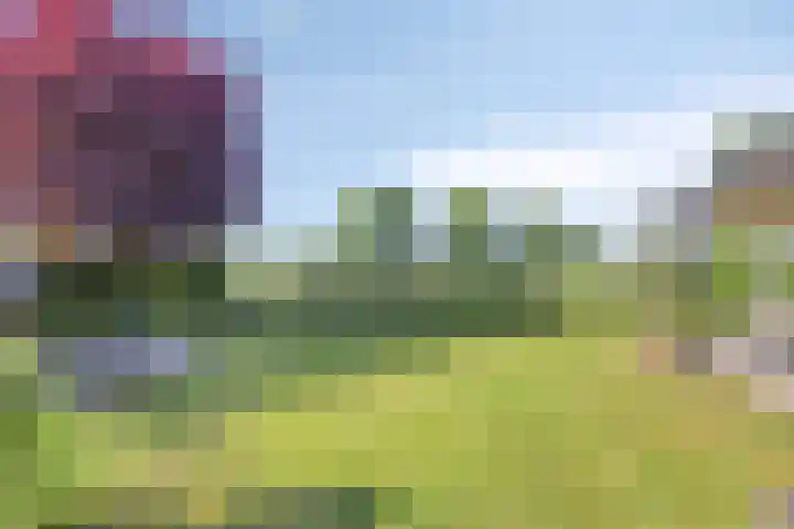 Lomanskamp 18 Beuningen thumbnail 43