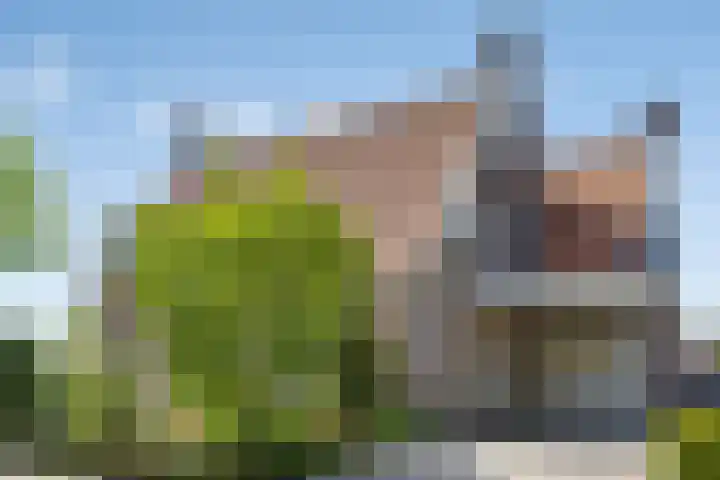 Lomanskamp 18 Beuningen thumbnail 50