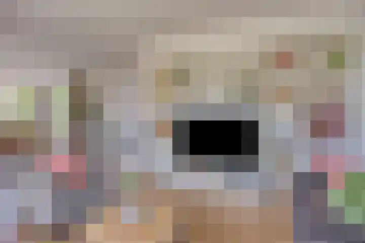 Lomanskamp 18 Beuningen thumbnail 8