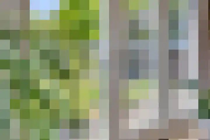 Lomanskamp 18 Beuningen thumbnail 9