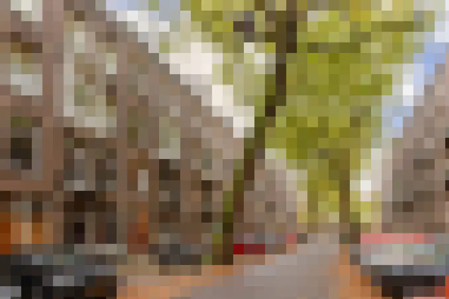 Lomanstraat 18 2 Amsterdam thumbnail 20