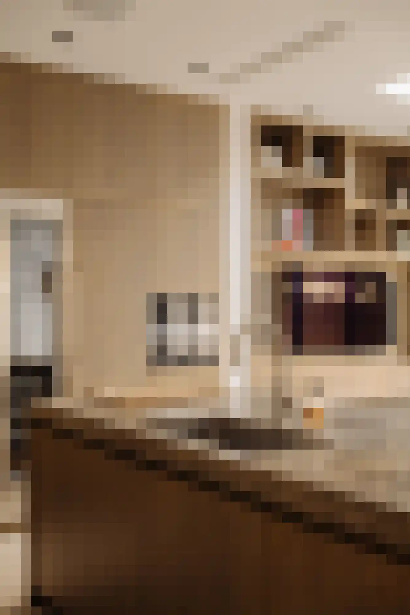 Lomanstraat 20 2 Amsterdam thumbnail 10