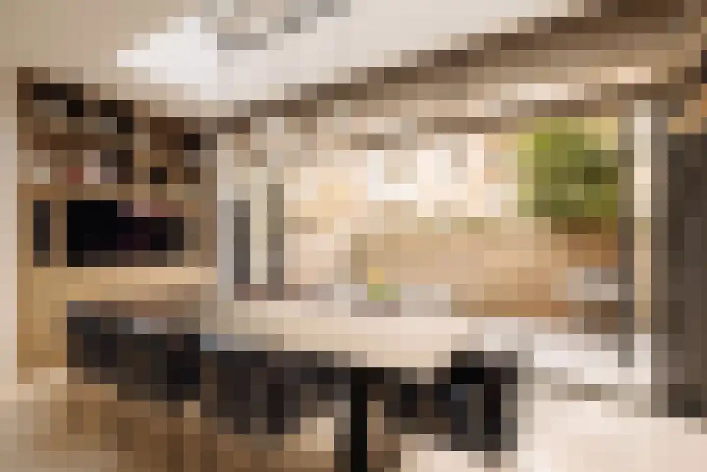 Lomanstraat 20 2 Amsterdam thumbnail 12
