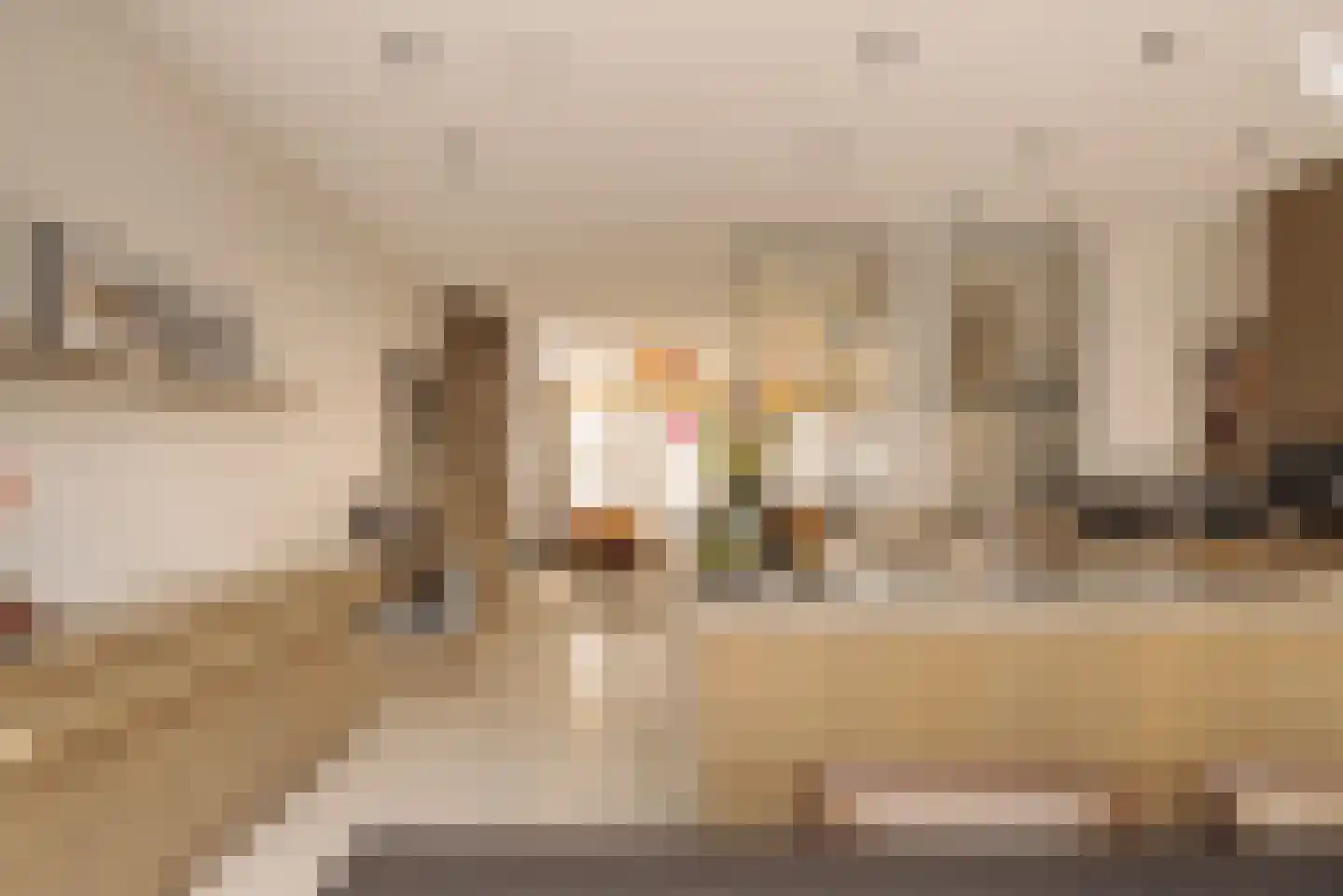 Lomanstraat 20 2 Amsterdam thumbnail 15