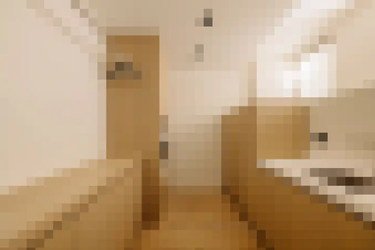 Lomanstraat 20 2 Amsterdam thumbnail 39
