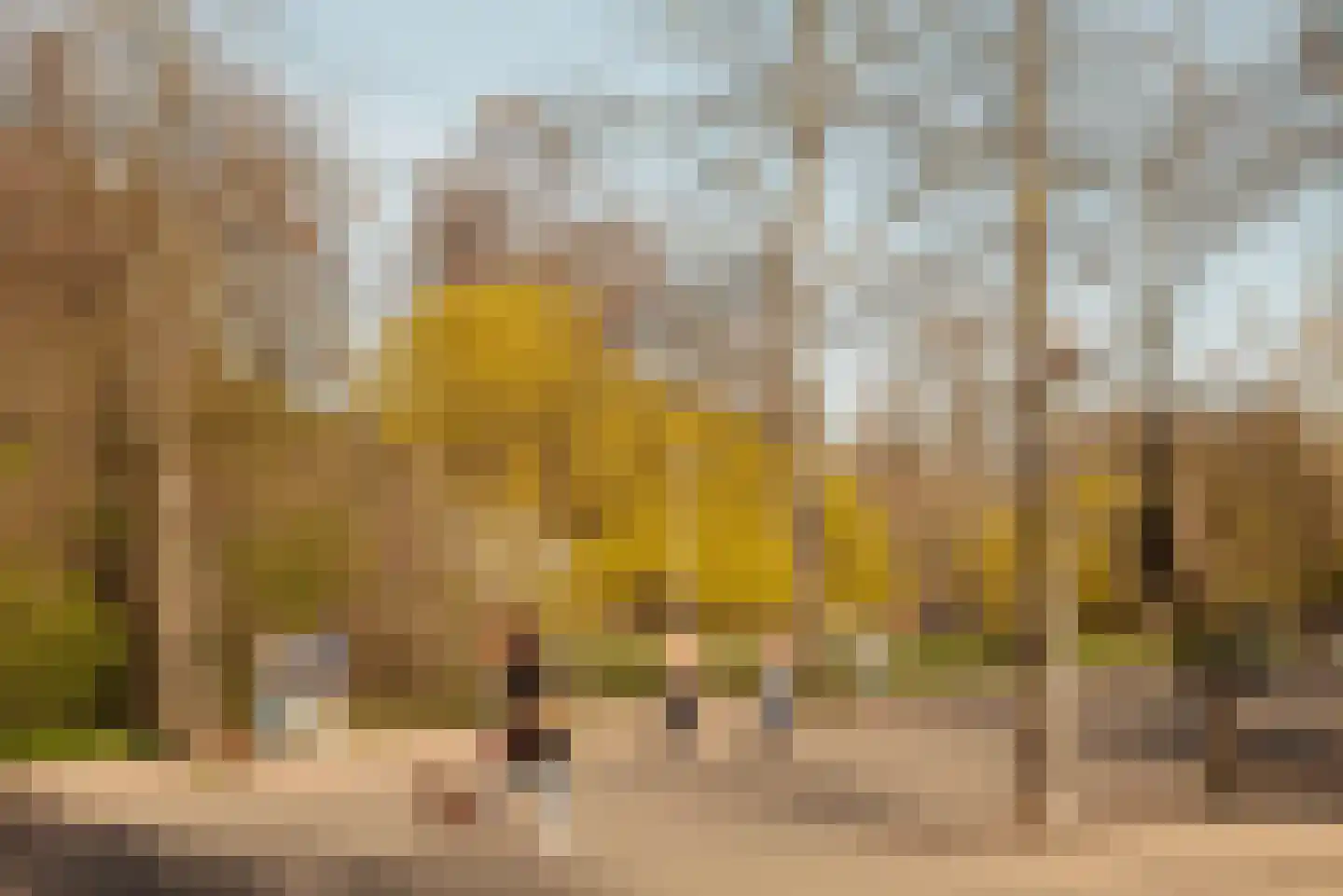 Lomanstraat 20 2 Amsterdam thumbnail 42