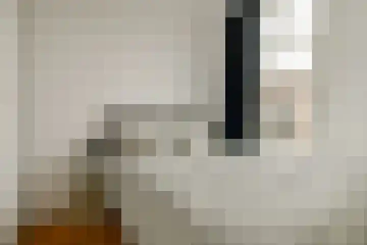 Lomanstraat 27 H Amsterdam thumbnail 18