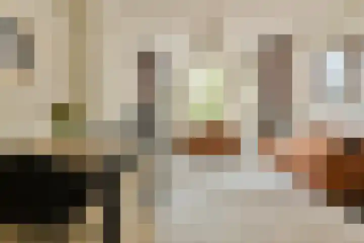 Lomanstraat 4 2 Amsterdam thumbnail 9