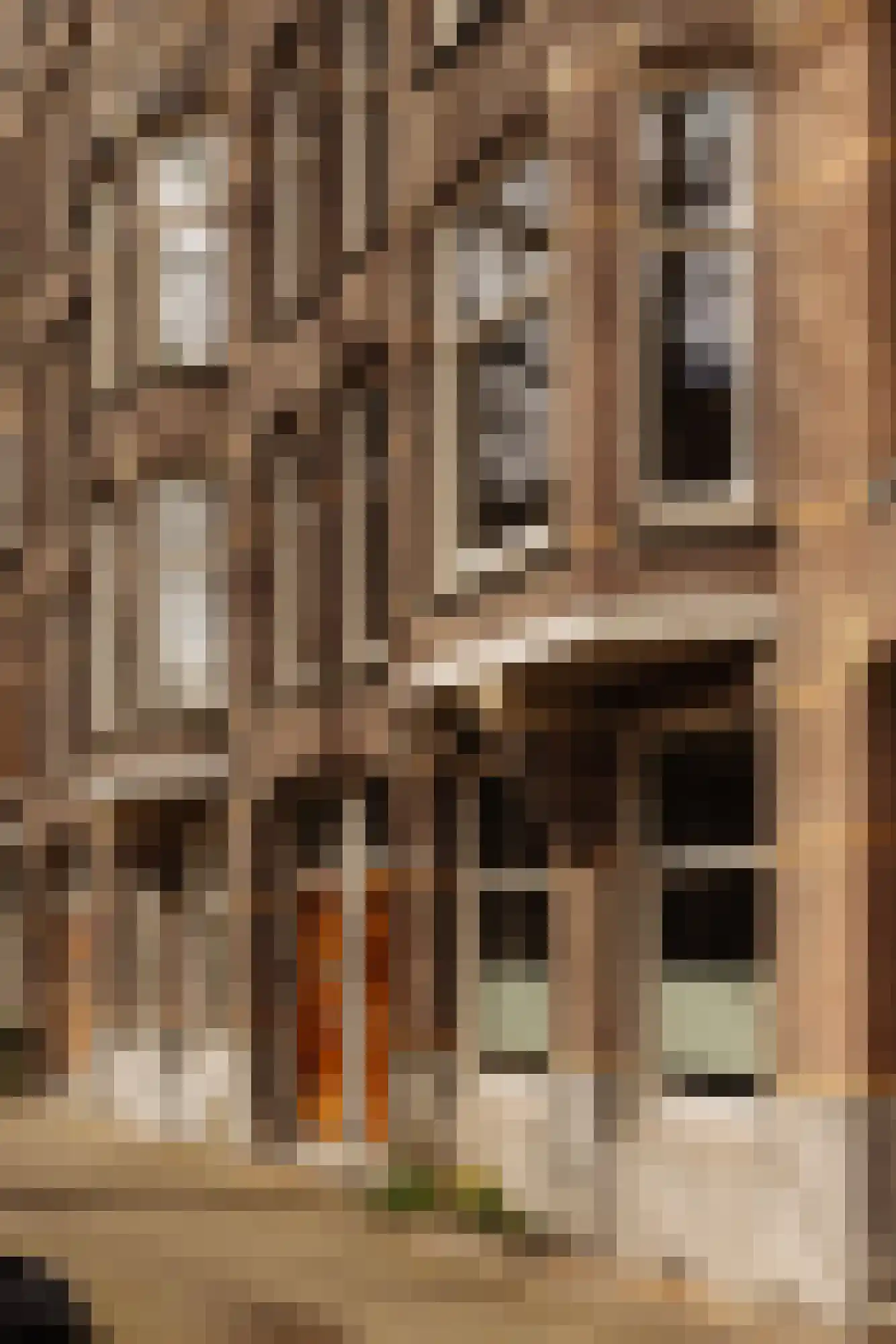 Lomanstraat 58 H Amsterdam thumbnail 32