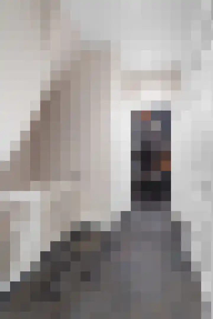 Lomanstraat 60 3 Amsterdam thumbnail 30