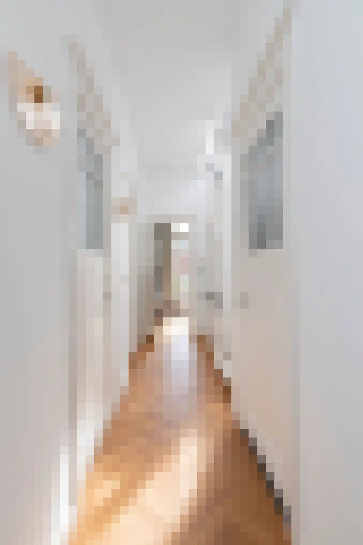 Lomanstraat 7 2 Amsterdam thumbnail 13