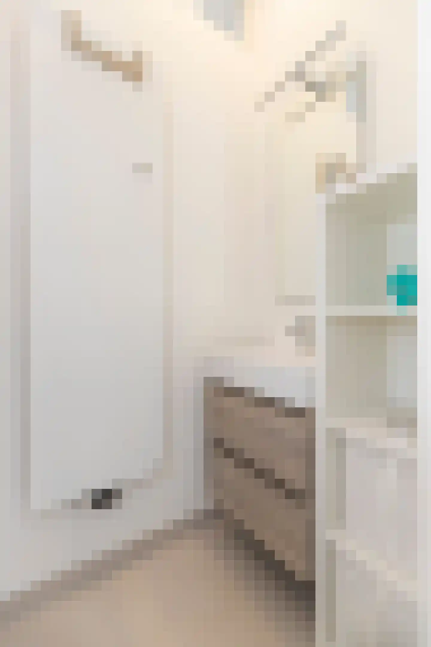 Lomanstraat 7 2 Amsterdam thumbnail 15