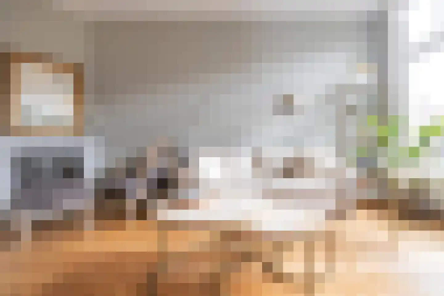 Lomanstraat 7 2 Amsterdam thumbnail 4