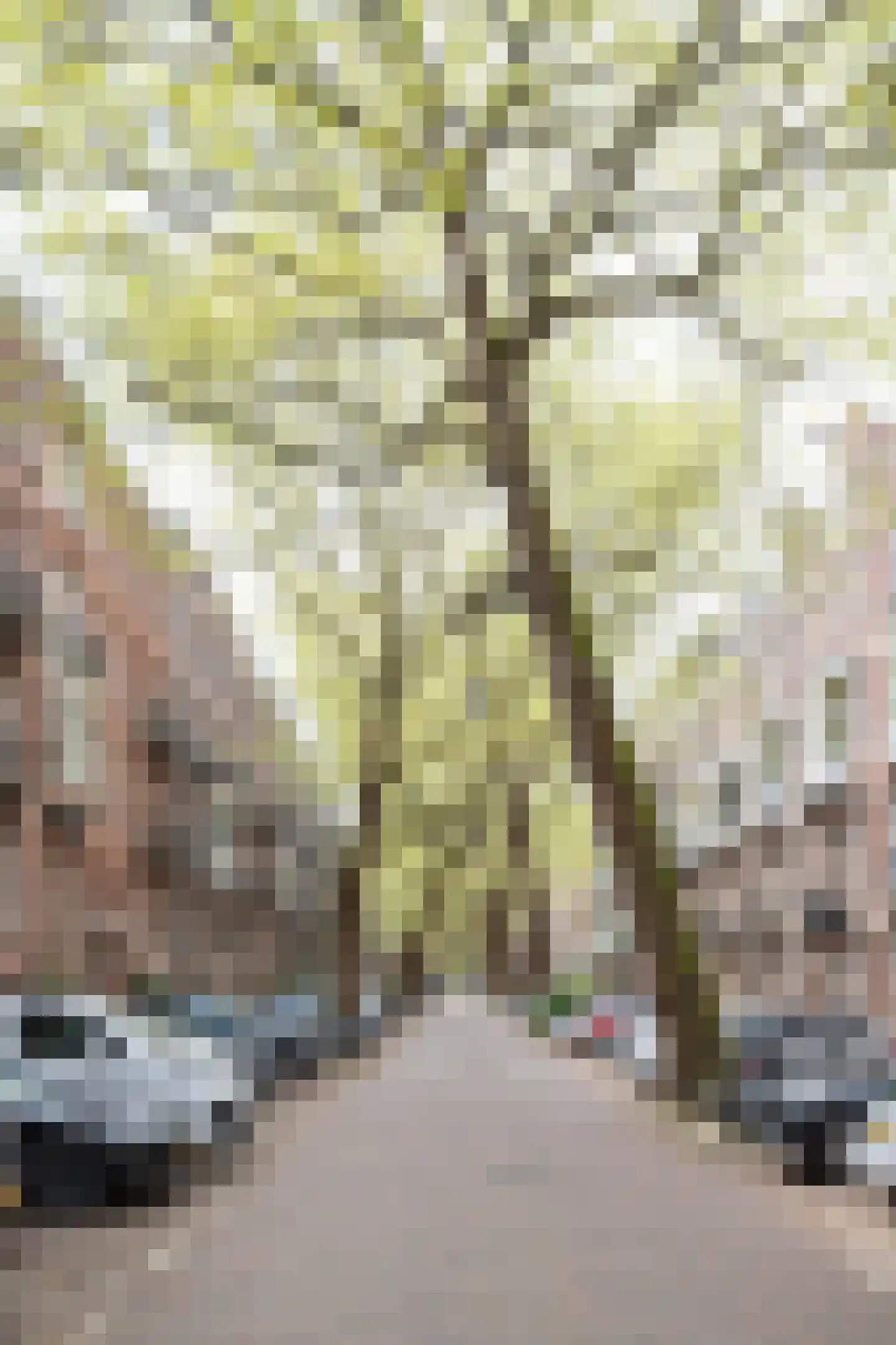 Lomanstraat 7 2 Amsterdam thumbnail 29
