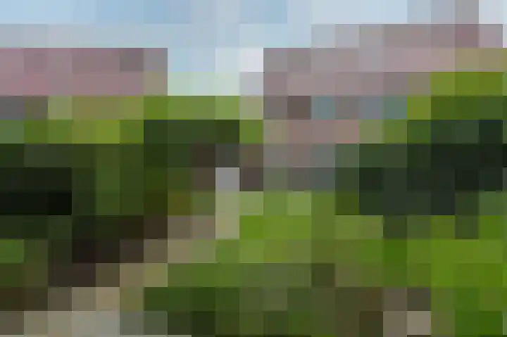 Lombardije 12 Doetinchem thumbnail 37