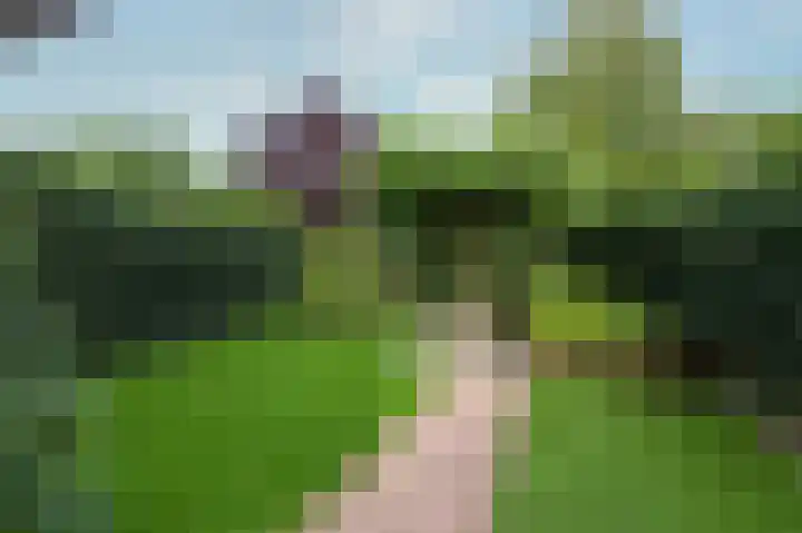 Lombardije 12 Doetinchem thumbnail 38