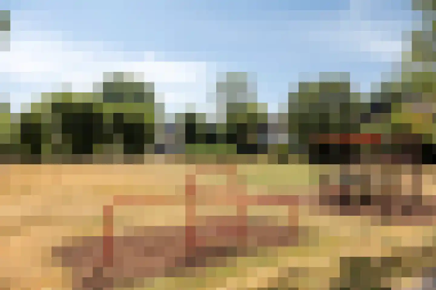 Lombardije 12 Utrecht thumbnail 32