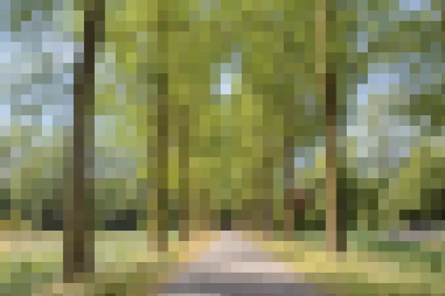 Lombardije 12 Utrecht thumbnail 34