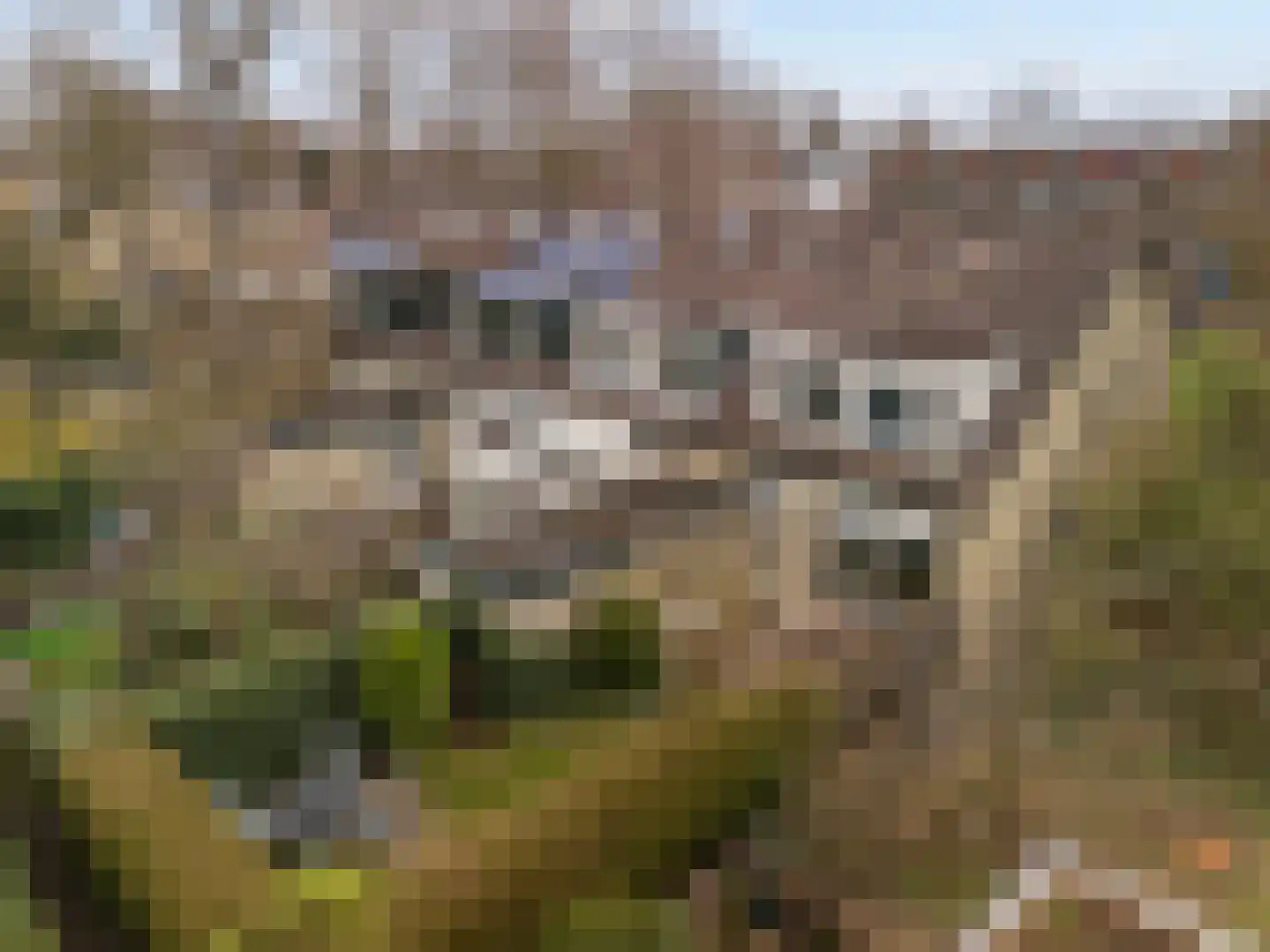 Lombardije 15 Utrecht thumbnail 17