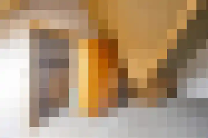 Lombardijenlaan 241 Tilburg thumbnail 20