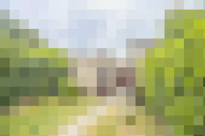 Lombardijenlaan 241 Tilburg thumbnail 24