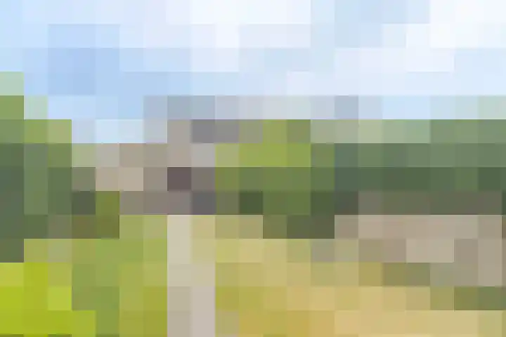 Lombardijenlaan 241 Tilburg thumbnail 25