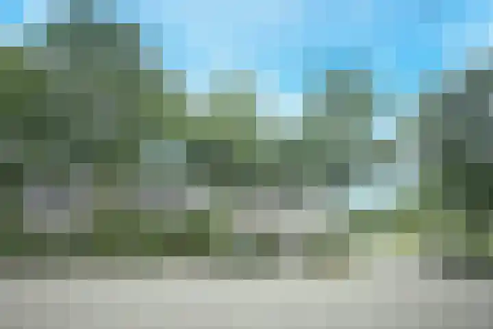 Lombardijenlaan 241 Tilburg thumbnail 27