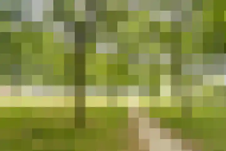 Lombardijenlaan 241 Tilburg thumbnail 28