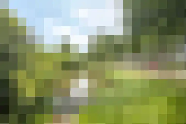 Lombardijenlaan 241 Tilburg thumbnail 29