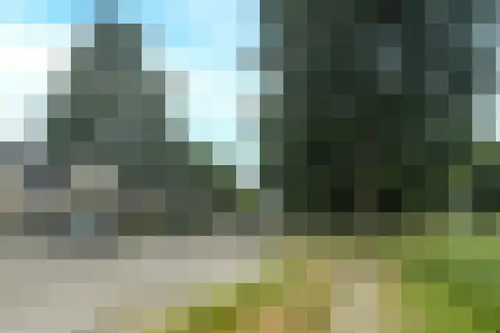 Lombardijenlaan 241 Tilburg thumbnail 30