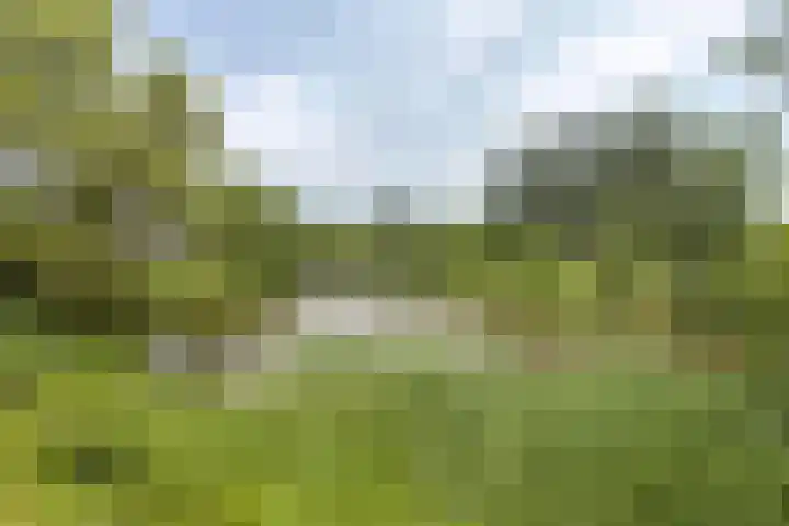Lombardijenlaan 241 Tilburg thumbnail 32