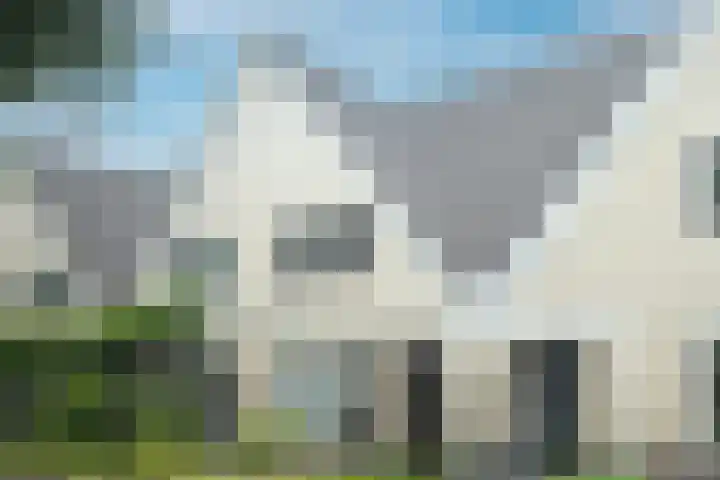 Lombardijenlaan 241 Tilburg thumbnail 5
