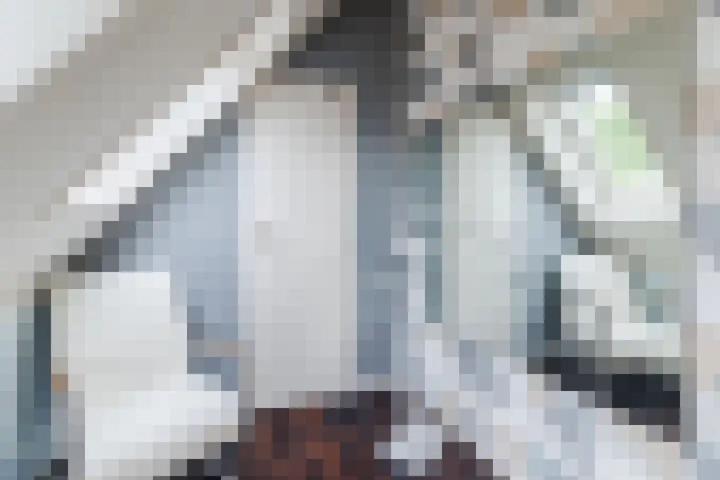 Lombardijenlaan 257 Tilburg thumbnail 28
