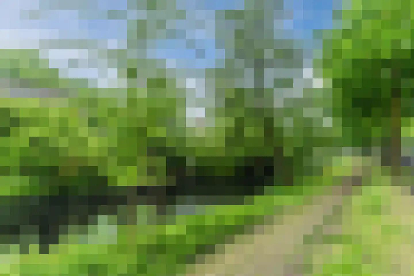 Lombardijenlaan 257 Tilburg thumbnail 39
