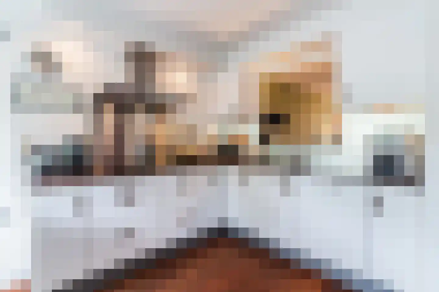 Lombardijenlaan 257 Tilburg thumbnail 7