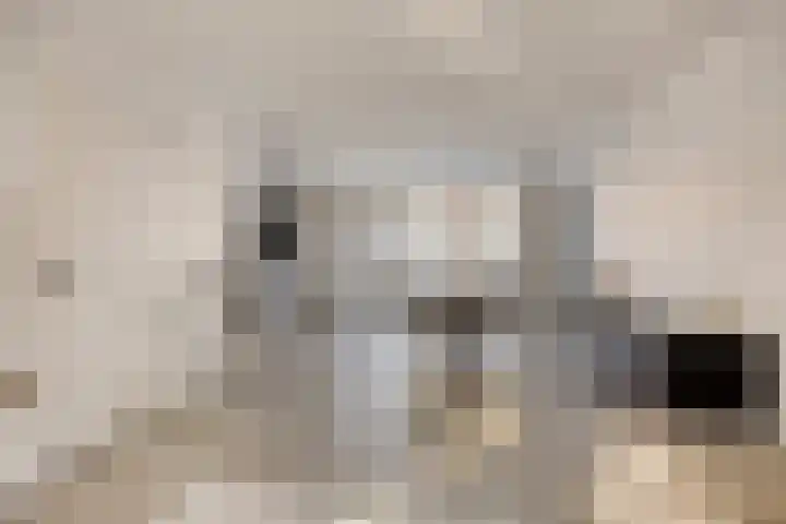 Lombardijenlaan 343 Tilburg thumbnail 10