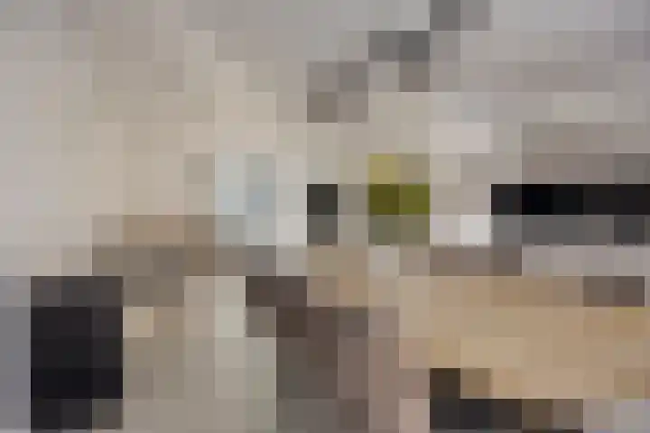 Lombardijenlaan 343 Tilburg thumbnail 12