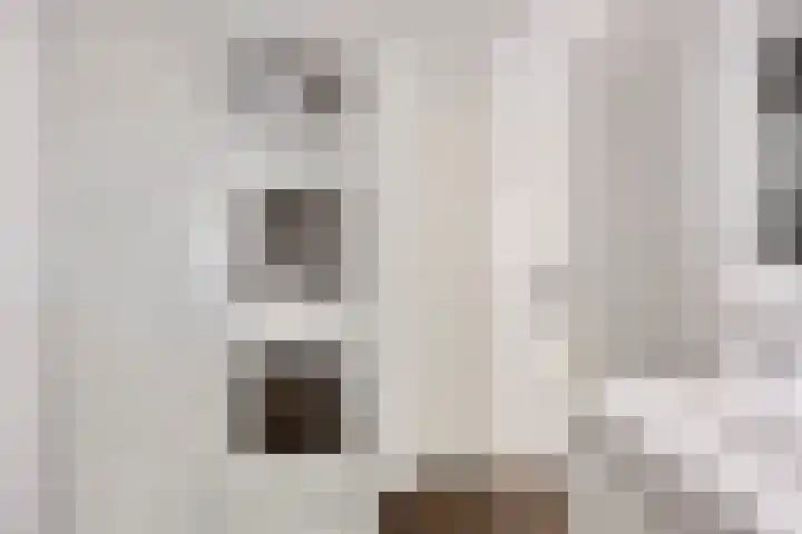 Lombardijenlaan 343 Tilburg thumbnail 21