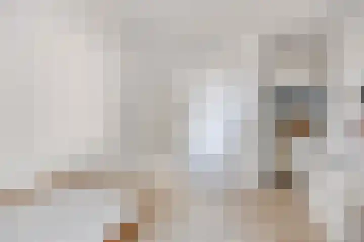 Lombardijenlaan 343 Tilburg thumbnail 27