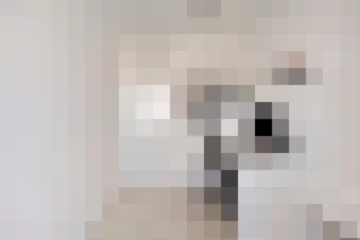 Lombardijenlaan 343 Tilburg thumbnail 29