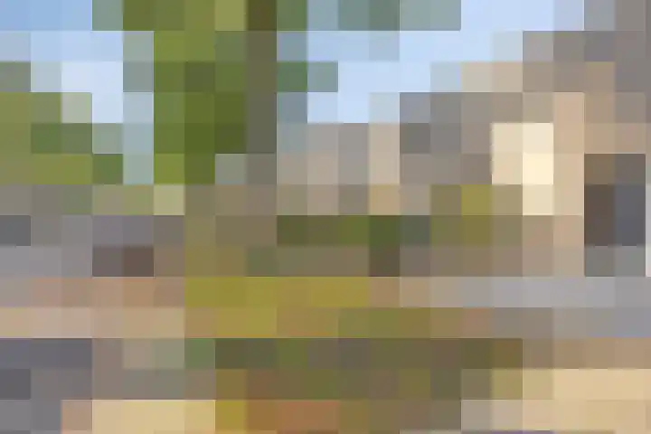 Lombardijenlaan 343 Tilburg thumbnail 35